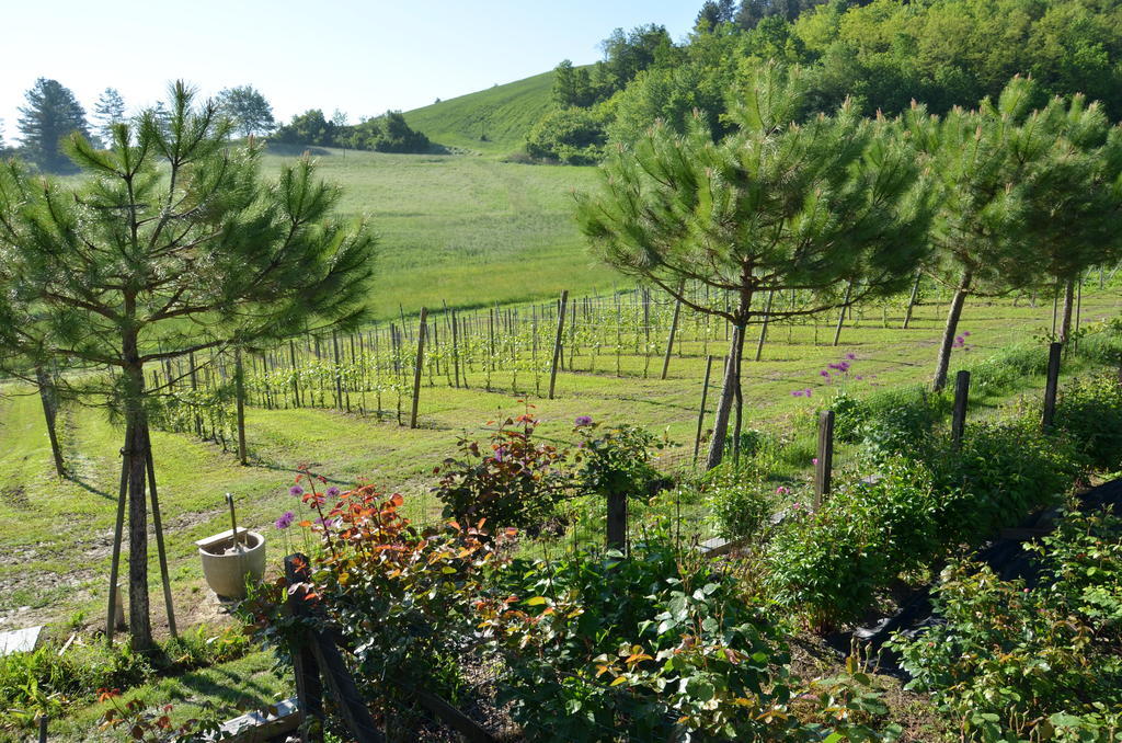 Cascina Castagneto Hotel Castell'Alfero Luaran gambar